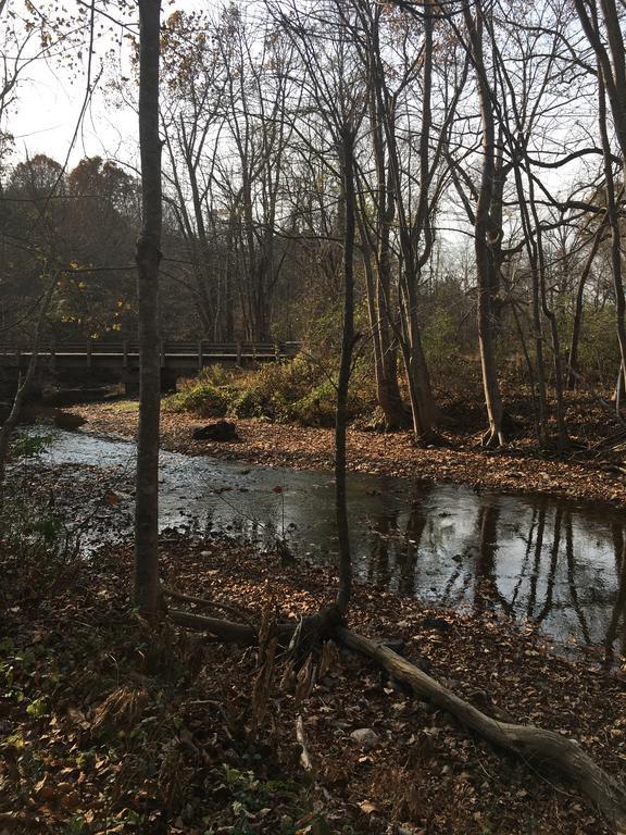 Serenity Views Bungalow - Close To City And Parkway! Villa Weaverville Esterno foto