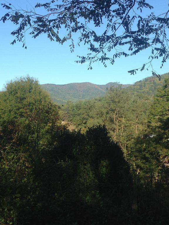 Serenity Views Bungalow - Close To City And Parkway! Villa Weaverville Esterno foto