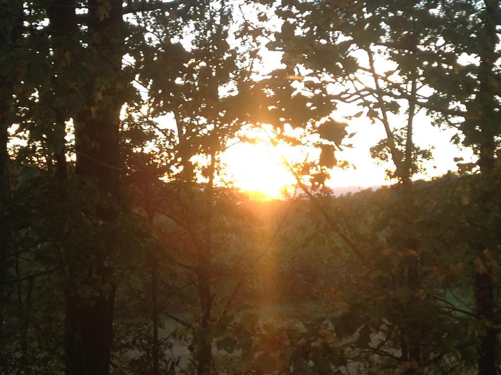 Serenity Views Bungalow - Close To City And Parkway! Villa Weaverville Esterno foto